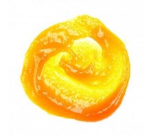 Концентрированная паста апельсина TM Pannacrema, 100 г